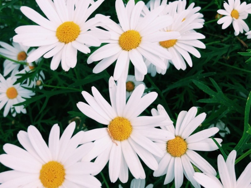 67 THINGS TO DO IF YOU ARE&nbsp;BORED…