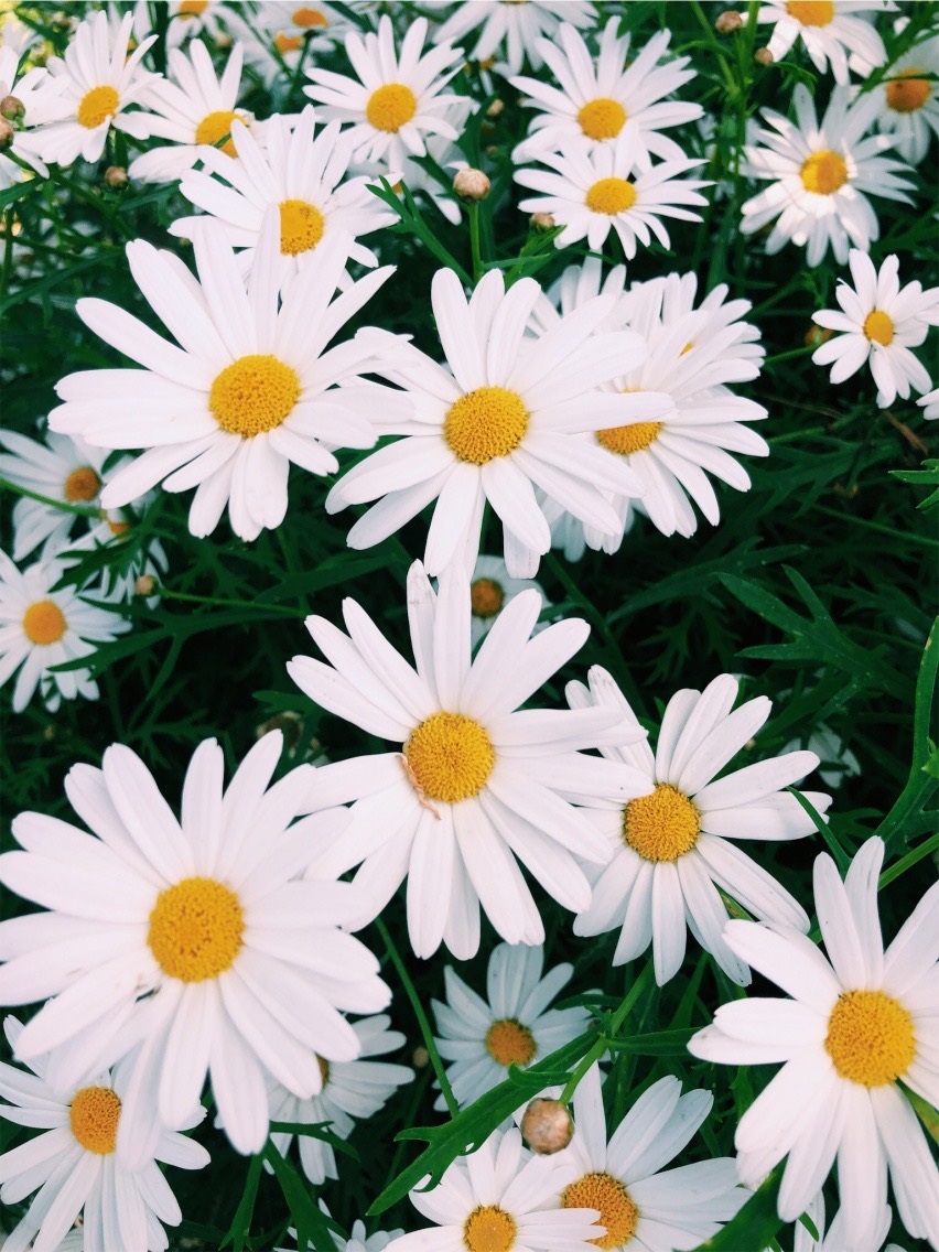 67 THINGS TO DO IF YOU ARE&nbsp;BORED…