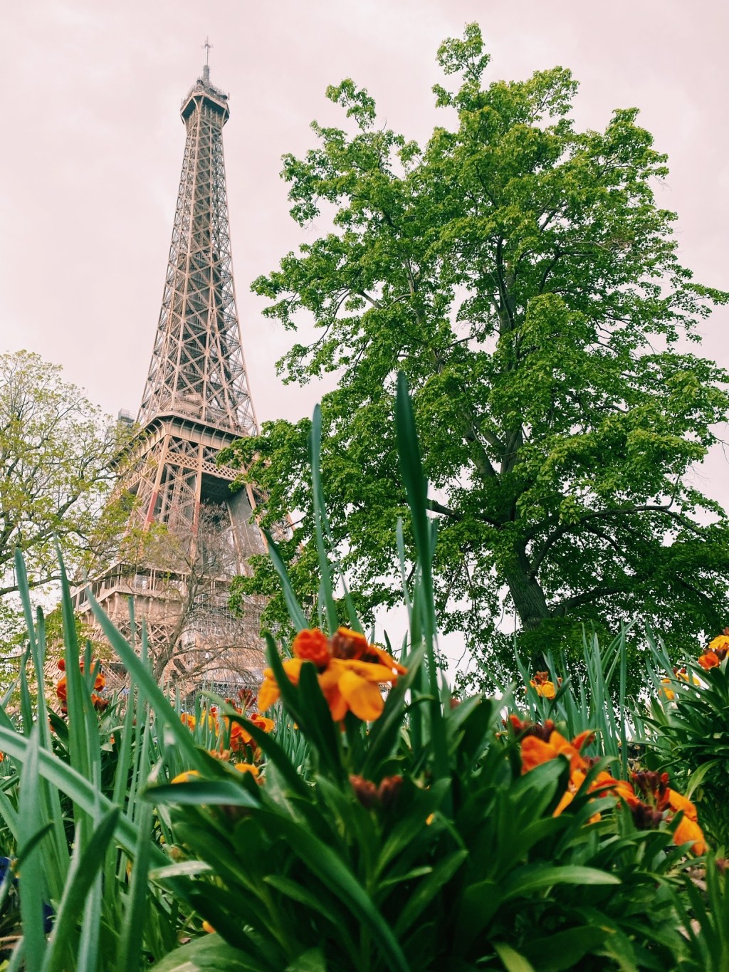 Travel Notes: My Week in&nbsp;France