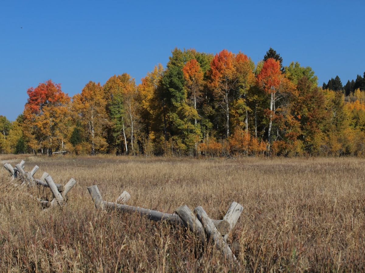 10 Things To Do During the Fall Season Before it’s&nbsp;Over