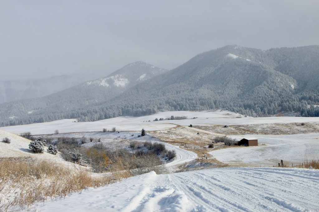 Travel Notes: My Week In&nbsp;Montana