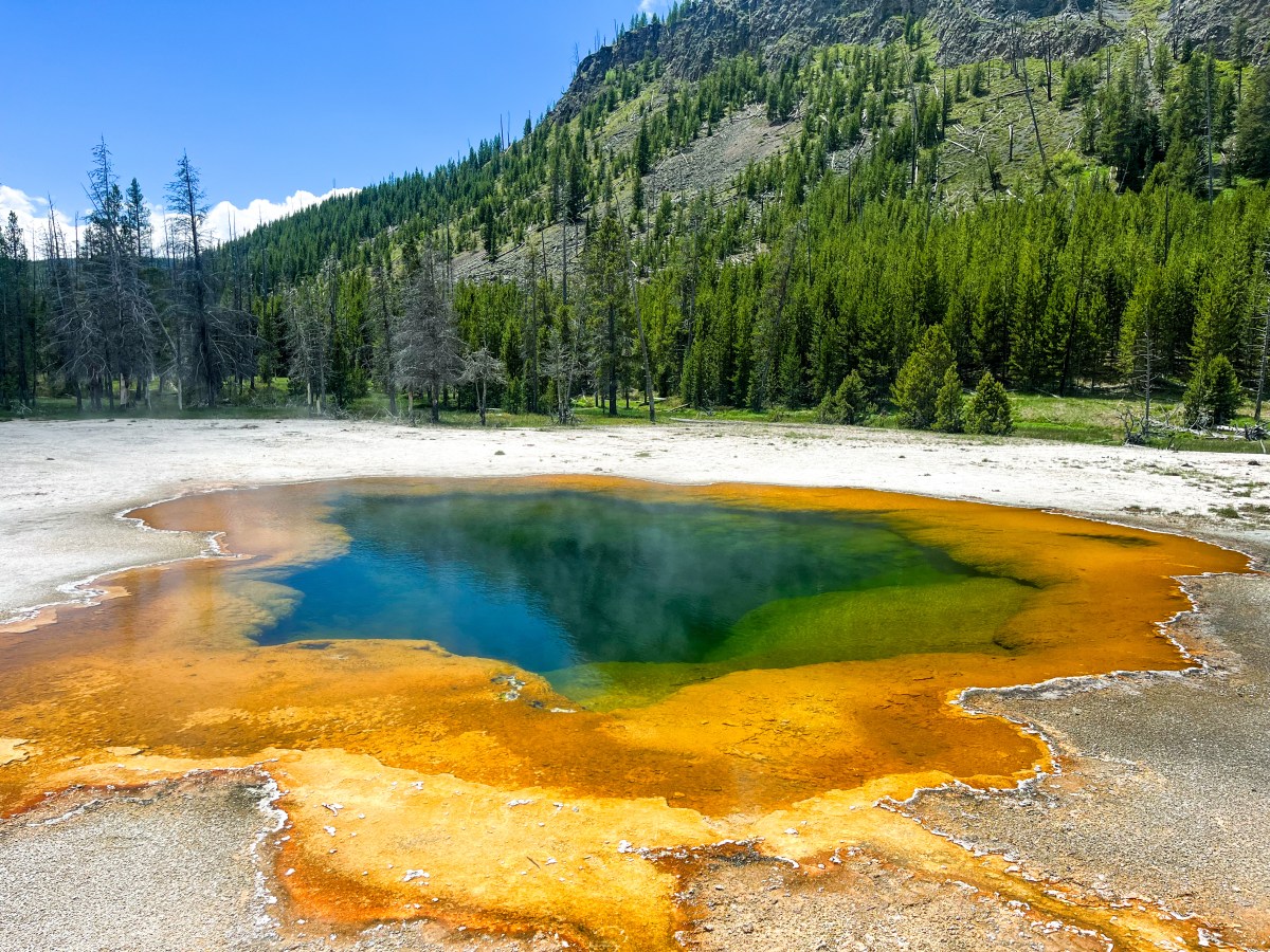 How To Spend 48 Hours In Yellowstone National&nbsp;Park